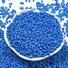 Baking Paint Glass Seed Beads SEED-S042-05A-37-2