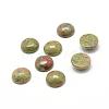 Natural Unakite Gemstone Cabochons G-T020-16mm-18-1