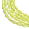 Natural Freshwater Shell Beads Strands X-SHEL-C010-01D-2