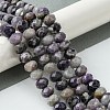 Natural Sugilite Beads Strands G-A092-G05-04-2