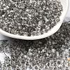 Transparent Glass Round Seed Beads SEED-B001-05A-12-1