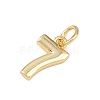 Brass Charms KK-G544-10G-07-2