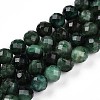 Natural Fuchsite Beads Strands G-S345-8mm-33-1