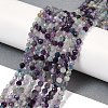 Natural Fluorite Beads Strands G-A252-A01-01-2