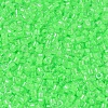 MIYUKI Delica Beads SEED-MY11-DB2040-2