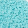 6/0 Luminous Glass Seed Beads SEED-NH0001-01F-3