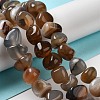Natural Agate Beads Strands G-H295-B01-13-2