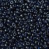 MIYUKI Round Rocailles Beads X-SEED-G008-RR0358-3