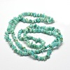 Natural Amazonite Chip Beads Strands X-G-M205-64A-2