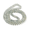 Glass Bead Strands GLAA-K068-01B-05-4