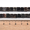 Natural Biotite Beads Strands G-T140-39A-5