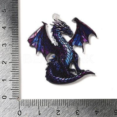 Acrylic Pendants OACR-O007-02H-1