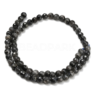 Natural Larvikite Beads Strands G-C280-B06-6mm-1
