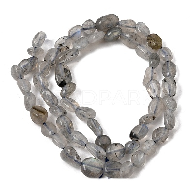Natural Labradorite Nuggets Beads Strands X-G-J335-40-1