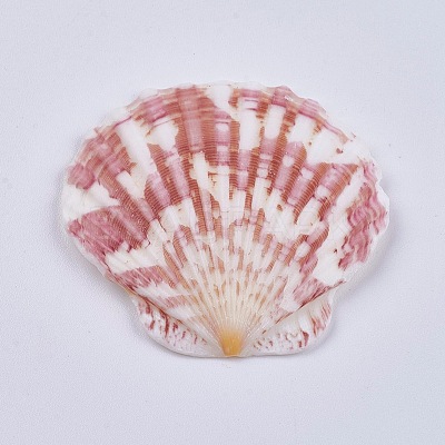 Beautiful Beach Sea Shells DIY-WH0044-01-1