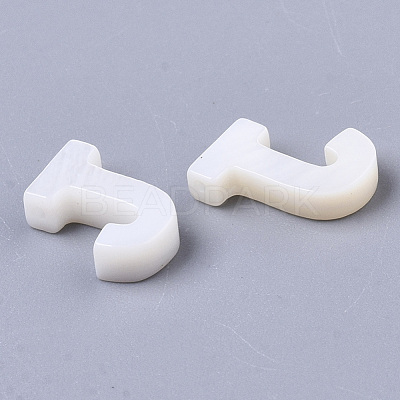 Freshwater Shell Beads X-SHEL-T012-59J-1