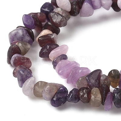Natural Lepidolite/Purple Mica Stone Beads Strands G-Z081-A01-1