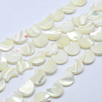 Natural White Shell Beads Strands SSHEL-12X11-1