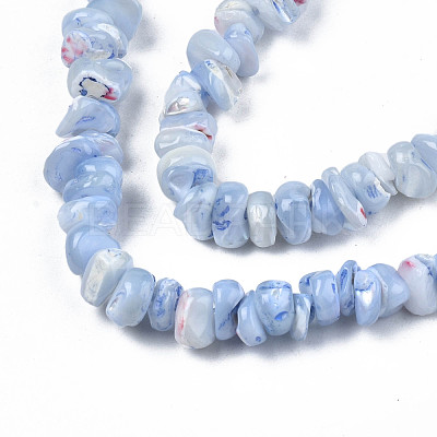 Natural Freshwater Shell Beads Strands SHEL-N003-23-B02-1