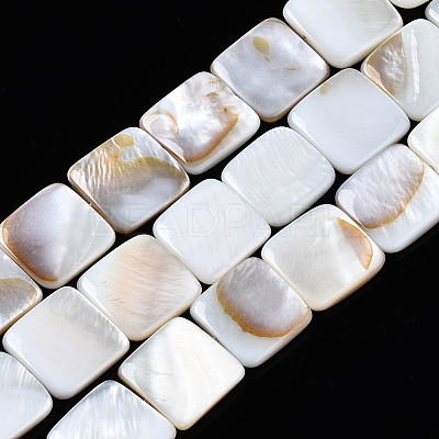 Natural Freshwater Shell Beads Strands SHEL-Q024-014-1