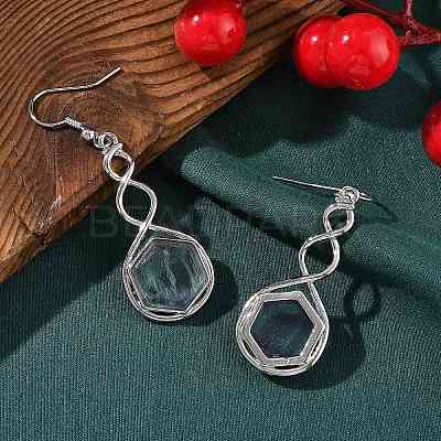 Hexagon Natural Fluorite Dangle Earrings EJEW-K298-01P-10-1