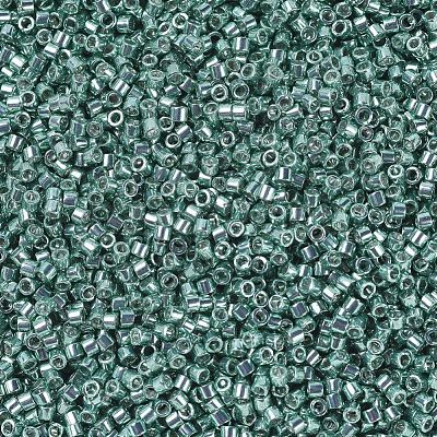 MIYUKI Delica Beads SEED-X0054-DB0416-1