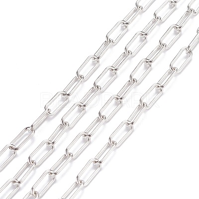 Unwelded Iron Paperclip Chains CH-FS0001-01S-1