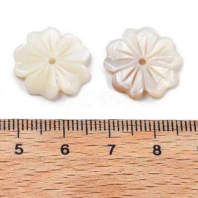 Natural Freshwater Shell Beads SHEL-Z002-02-1