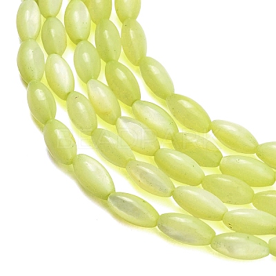 Natural Freshwater Shell Beads Strands X-SHEL-C010-01D-1