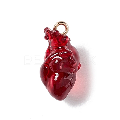 Transparent Resin Pendants LS-RESI-E028-01G-01-1