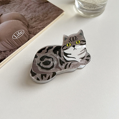 Acrylic Claw Hair Clips PW-WG49337-06-1