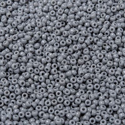 MIYUKI Round Rocailles Beads X-SEED-G008-RR0498-1