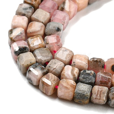 Natural Rhodonite Beads Strands G-Q1005-F-01-1