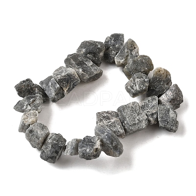Natural Labradorite Beads Strands G-S386-B04-1