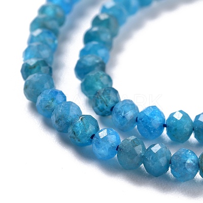 Natural Apatite Beads Strands G-K312-20B-1