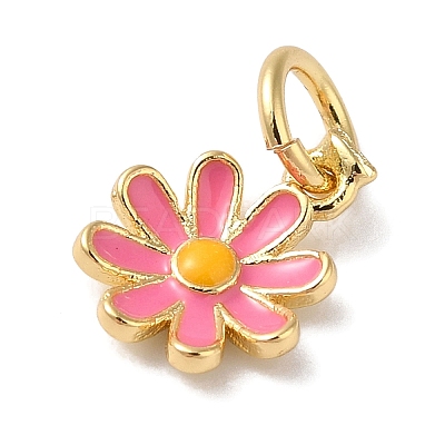 Brass Enamel Charms KK-L216-006G-05-1