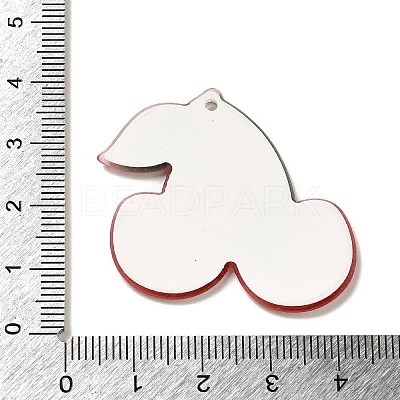 Acrylic Pendants OACR-R270-03E-1