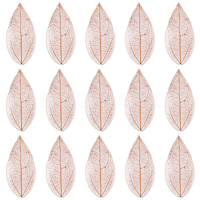 100Pcs Dried Flower Leaf Craft Supplies AJEW-CP0009-41C-1