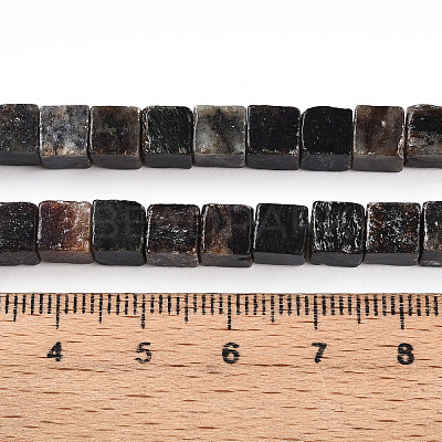 Natural Biotite Beads Strands G-T140-39A-1