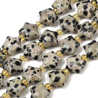 Natural Dalmatian Jasper Beads Strands G-Z080-A08-10mm-1