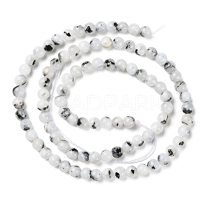 Natural Rainbow Moonstone Beads Strands G-Q1001-A05-01-1