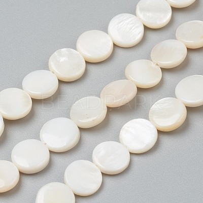 Natural Freshwater Shell Beads X-BSHE-I011-01D-02-1