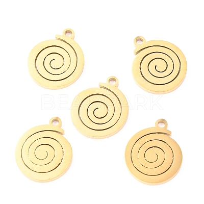 304 Stainless Steel Charms STAS-O142-10G-1
