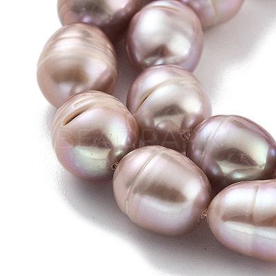 Natural Cultured Freshwater Pearl Beads Strands PEAR-P062-13F-1