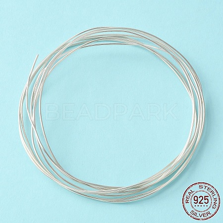 Dead Soft 925 Sterling Silver Wire STER-NH005-A-1