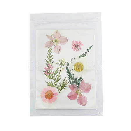 Pressed Dried Flowers DIY-B070-01C-1