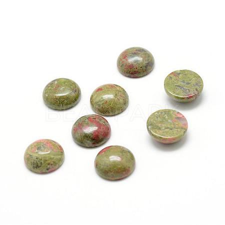 Natural Unakite Gemstone Cabochons G-T020-16mm-18-1