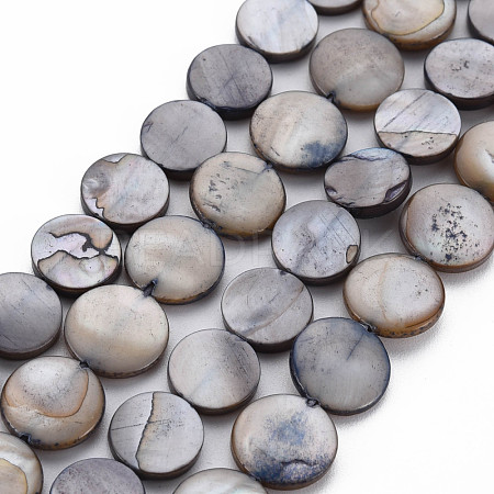Natural Freshwater Shell Beads X-S00C20J8-1