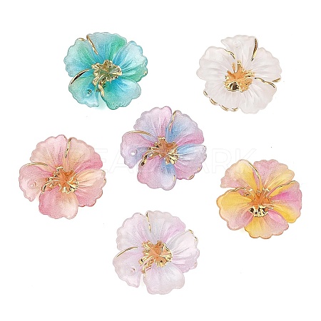 Gradient Color Resin Glitter Pendants RESI-C077-02-1