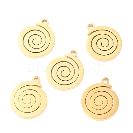304 Stainless Steel Charms STAS-O142-10G-1